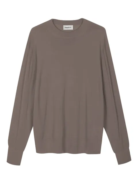 Diana Studio crew-neck long-sleeve sweater Brown SIN43
